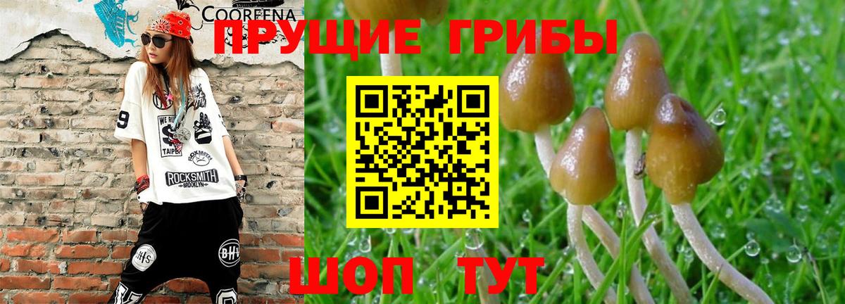 Метадон Кузнецк