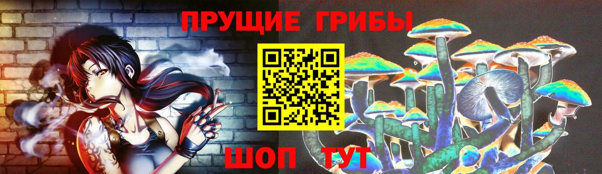 Кузнецк  Галлюциногенные грибы Psilocybe  Вход с VPN 