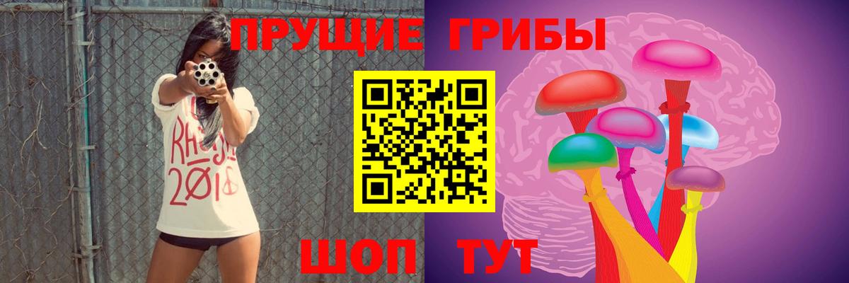 Галлюциногенные грибы мухоморы Кузнецк