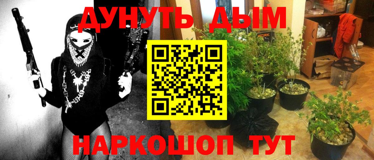 Бошки марихуана конопля  Вход с VPN  МАРИХУАНА LSD WEED  Кузнецк 